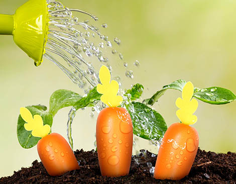 Toy carrots planted in soil, being watered.