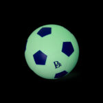 BX2584 DP E