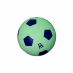 BX2584 DP E