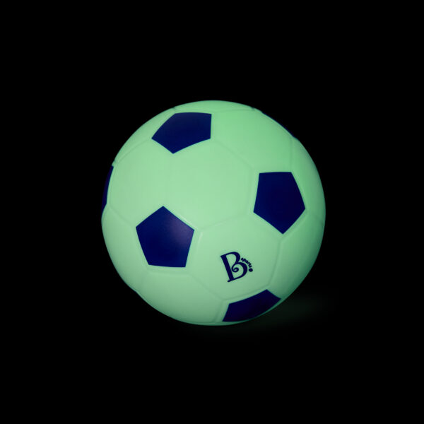 BX2584 DP E
