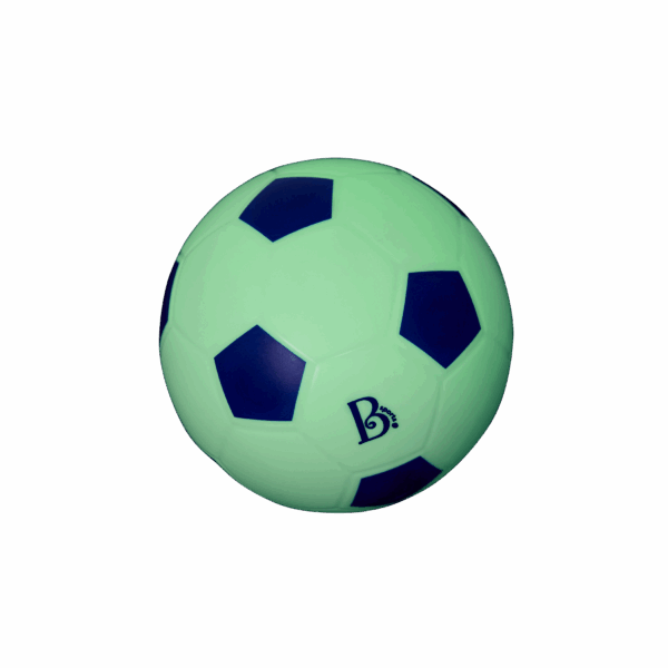 BX2584 DP E