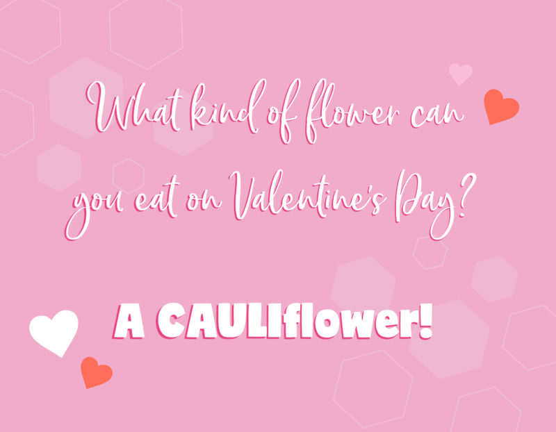 What kind of flower can you eat on Valentine’s Day? - A CAULIflower!