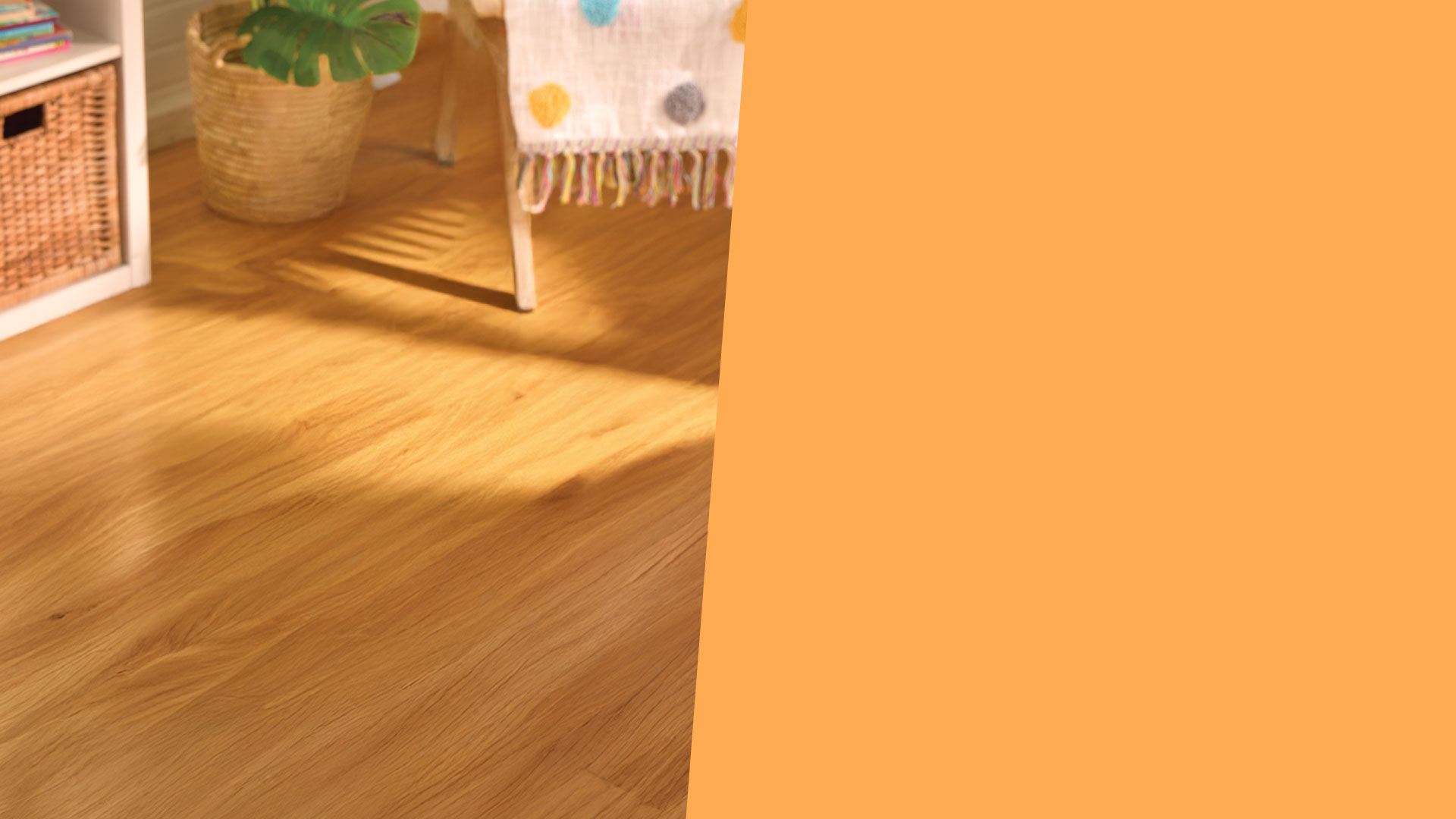 slider BX2495 lightbox background APR2025.jpg